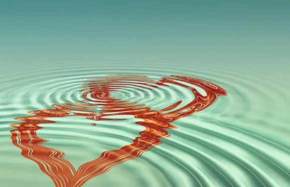 Καζίνο Μπαρμπαδος Μπινγκο Υποστηριξη